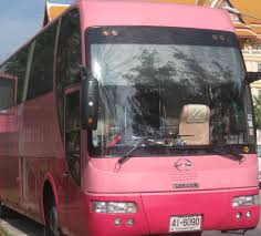 Pink Bus mcu